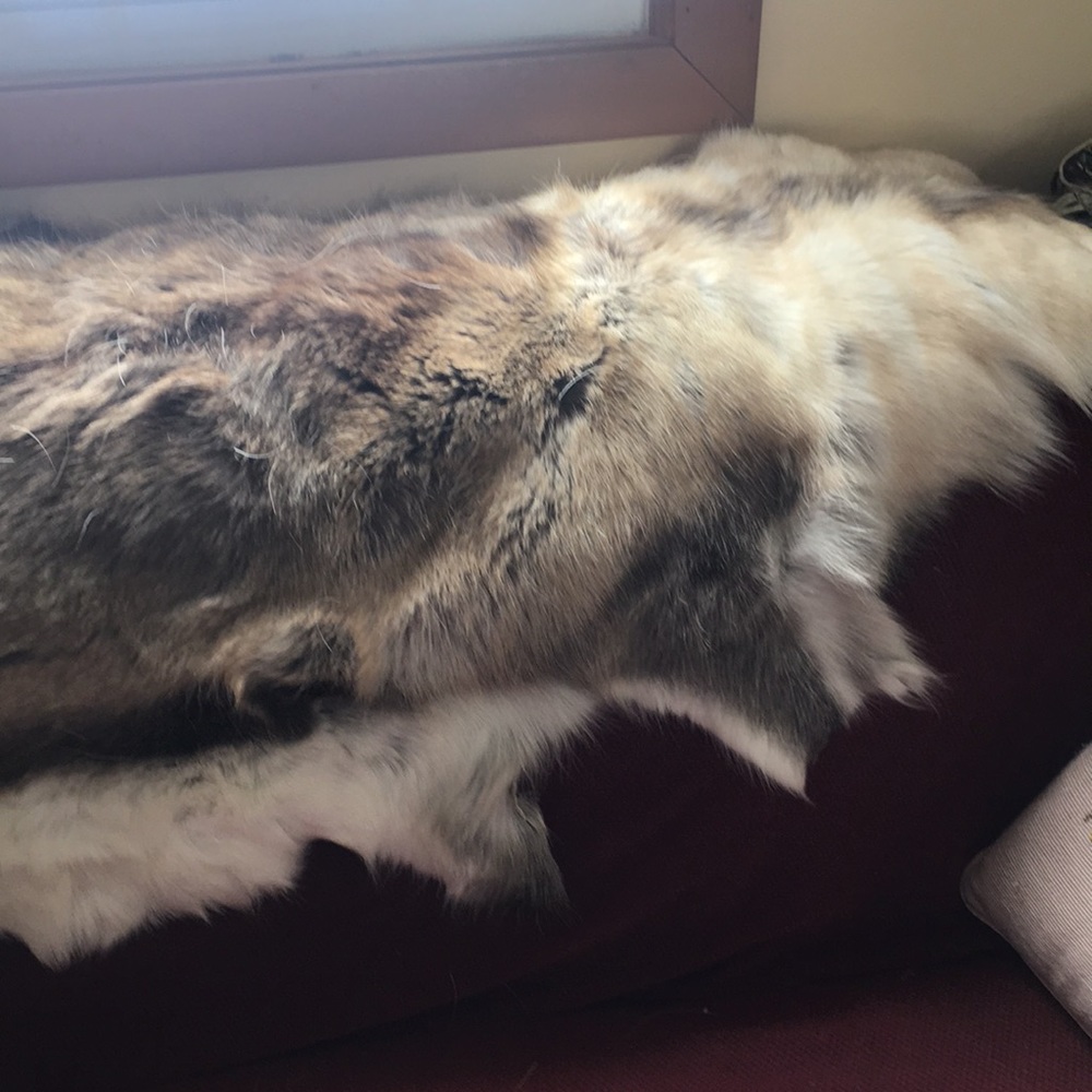 Authentic Finland Reindeer Fur piece
